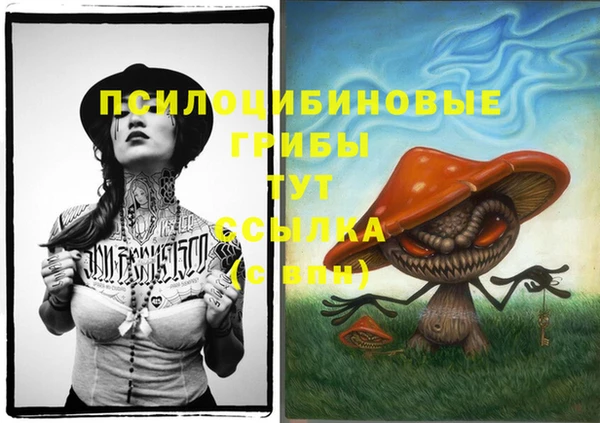 таблы Алексеевка