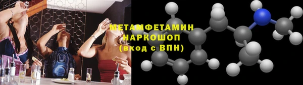 мет Алексин