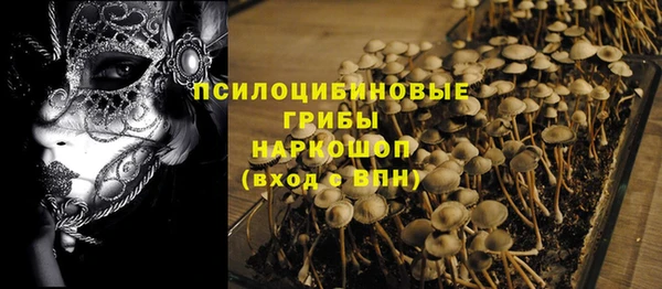твердый Алзамай