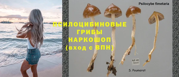 мет Алексин